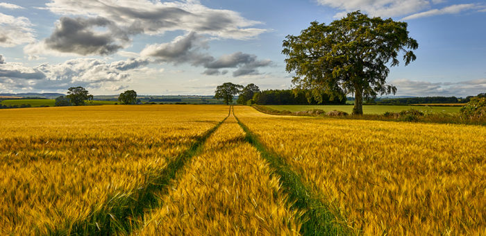 ce5 | Garrington Property Finders Scotland farming scotland